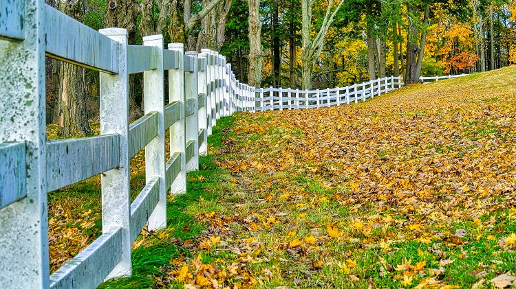 Professional Bundaberg Fencing