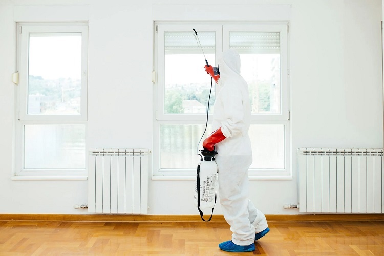 Termite Control